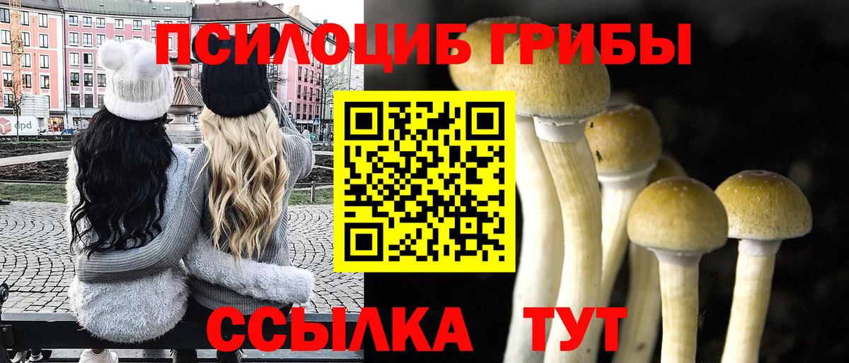 Галлюциногенные грибы GOLDEN TEACHER Баксан